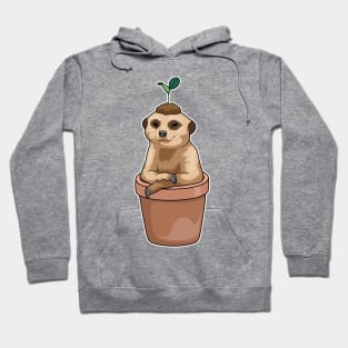 Meerkat Flower pot Plant Hoodie